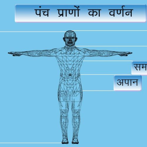 प्राण (pran) क्या है परिभाषा, अर्थ एवं प्रकार इन हिंदी