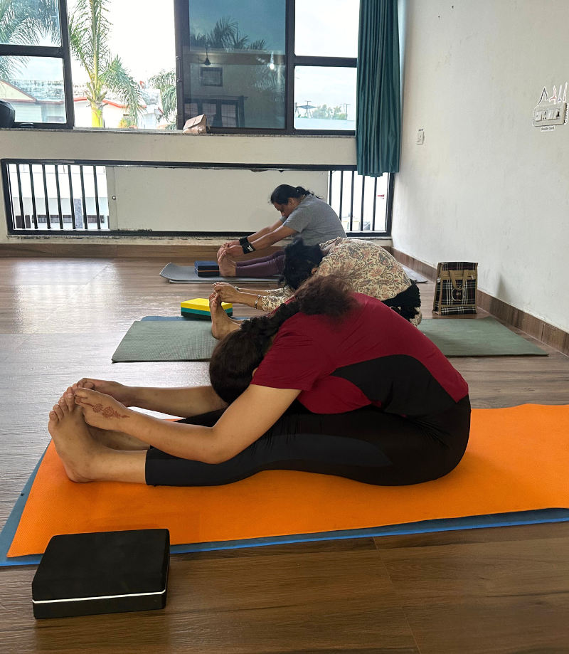 200 Hour Yoga