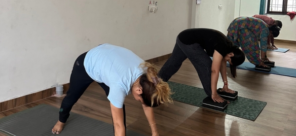 50 Hour Yoga Teacher Training in Dehradun
