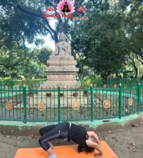 Gandhi Park Yoga 3