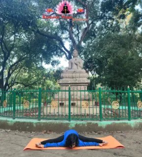 Gandhi Park Yoga 6