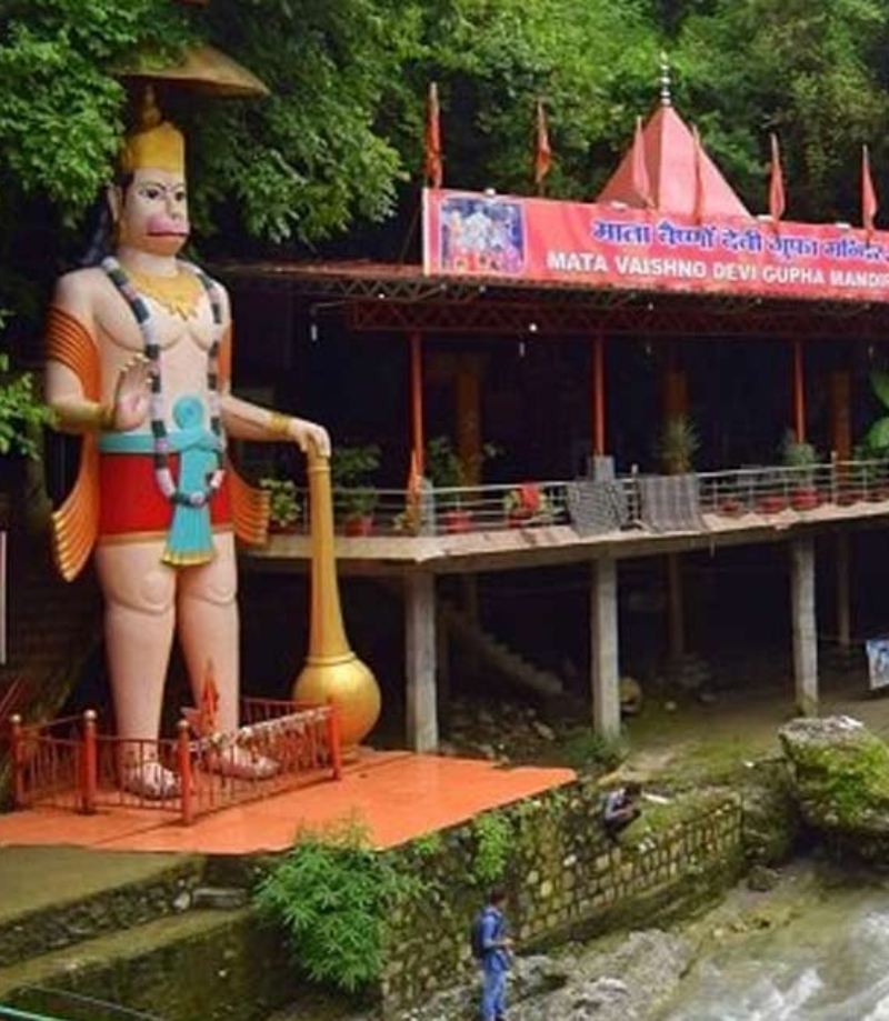 professional yoga teacher certification India